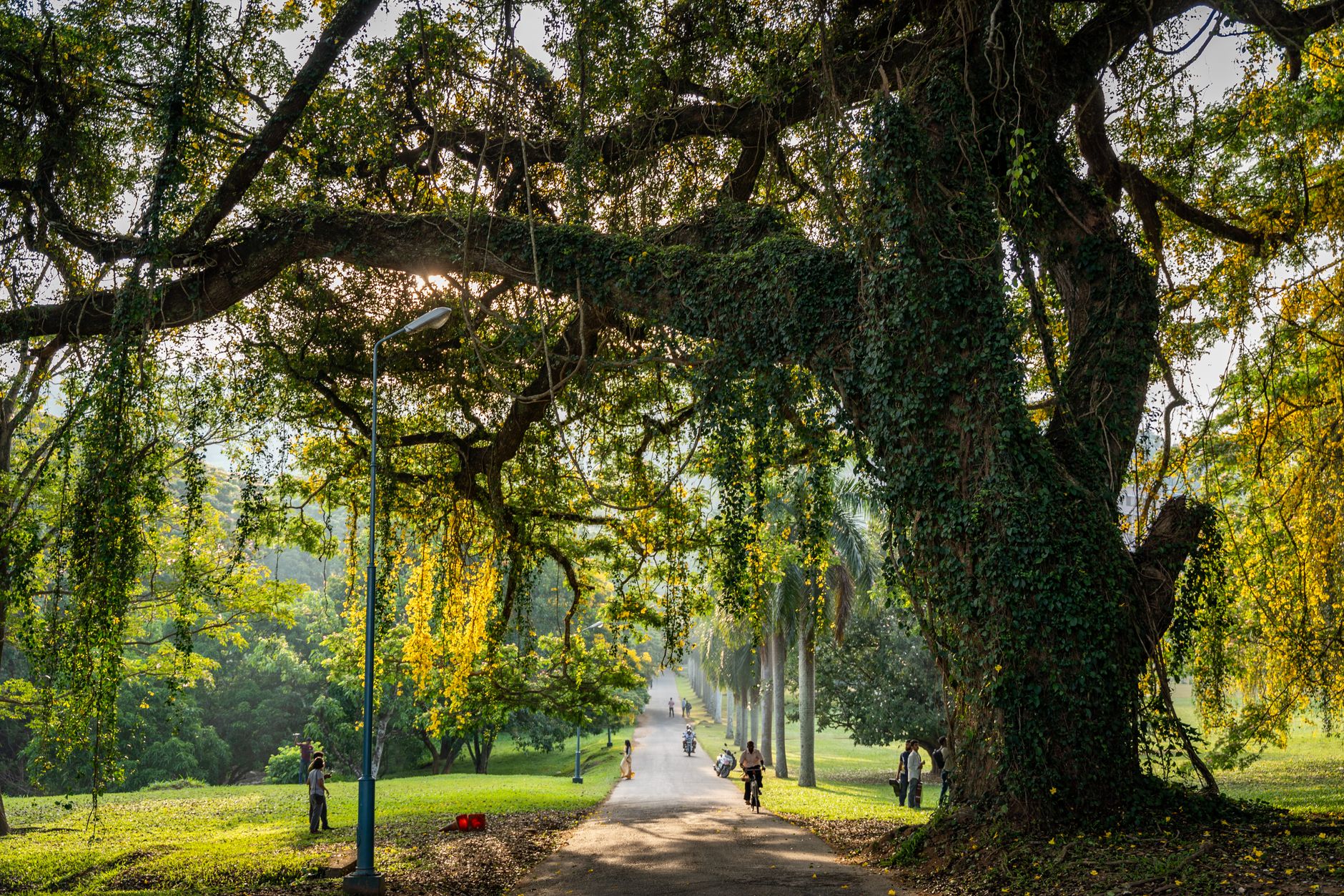 Exploring the EWC Graduate Degree Fellowship: A Gateway to Leadership in the USA
