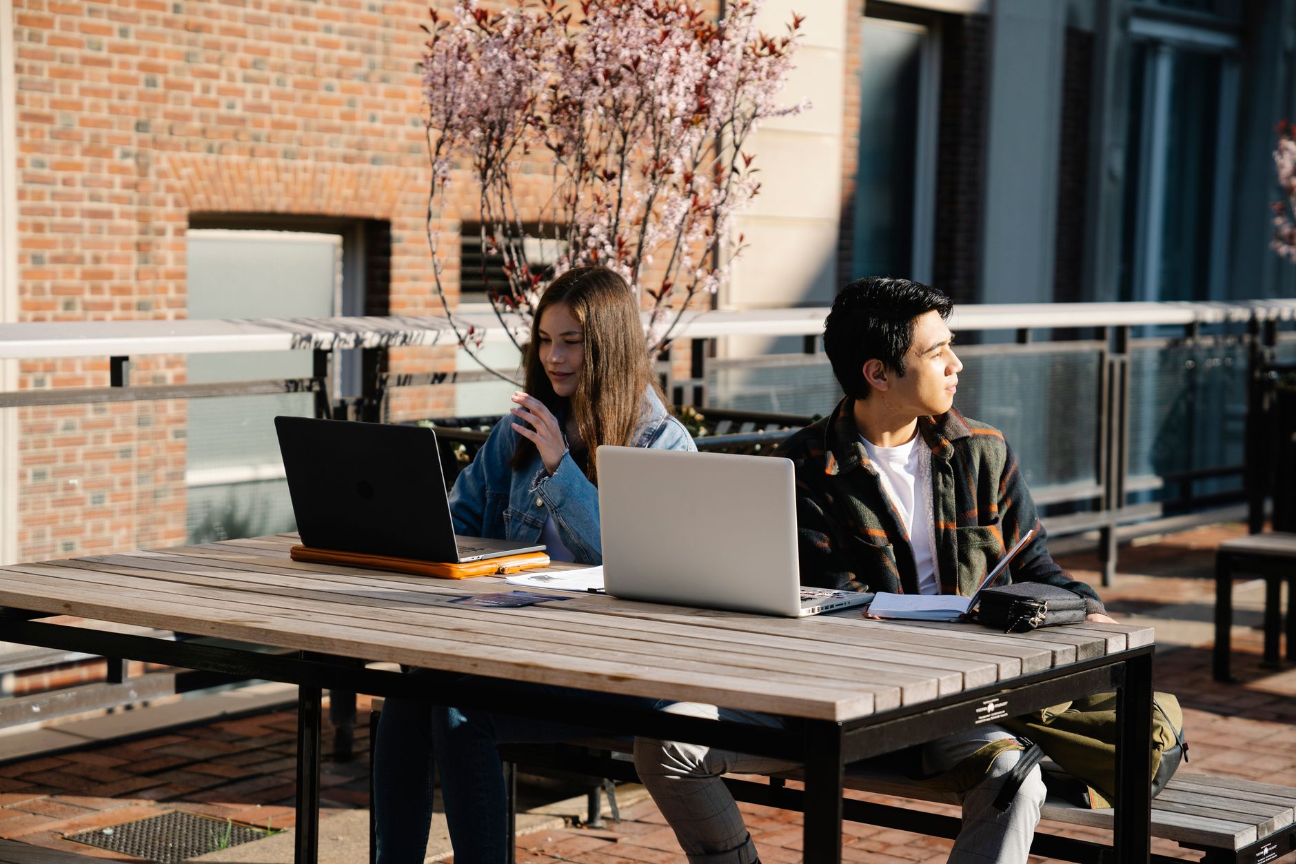 Exploring the Google Gemini Student Plan 2026: A Full Year of AI Plus