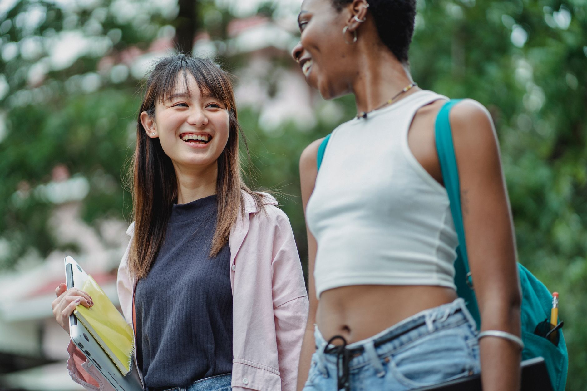 Exploring the Western Balkans Meet Japan 2027 Youth Exchange Program