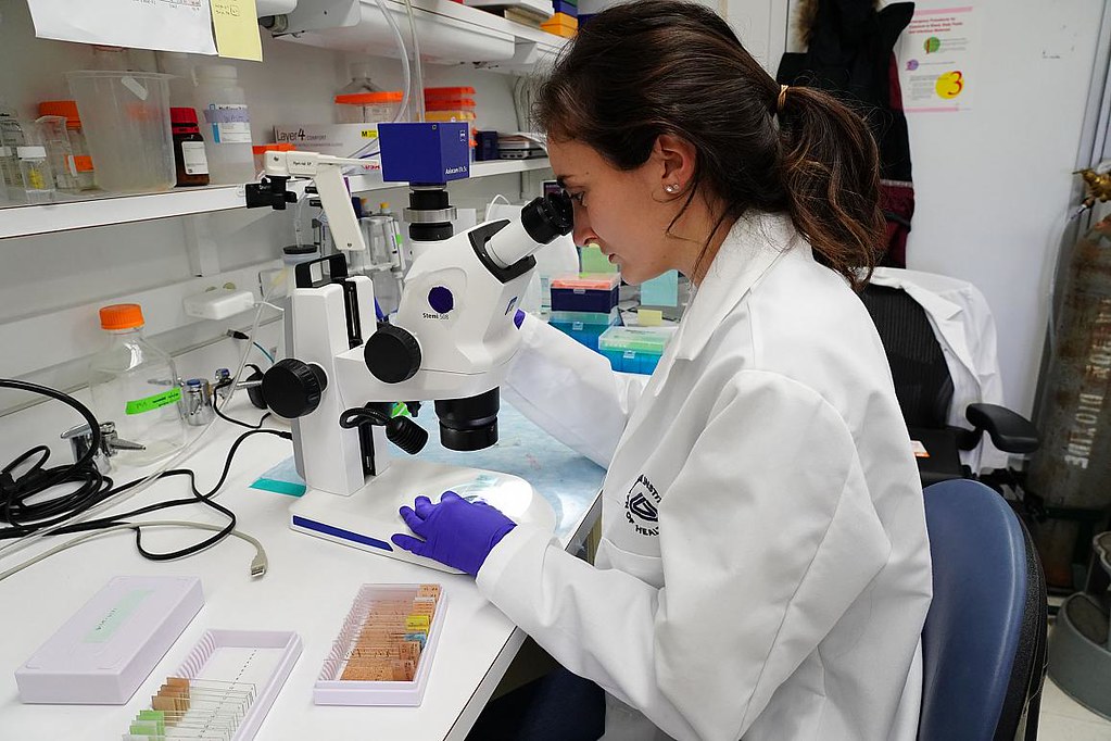 Why UMF Cluj-Napoca is a Top Choice for International Medical Students