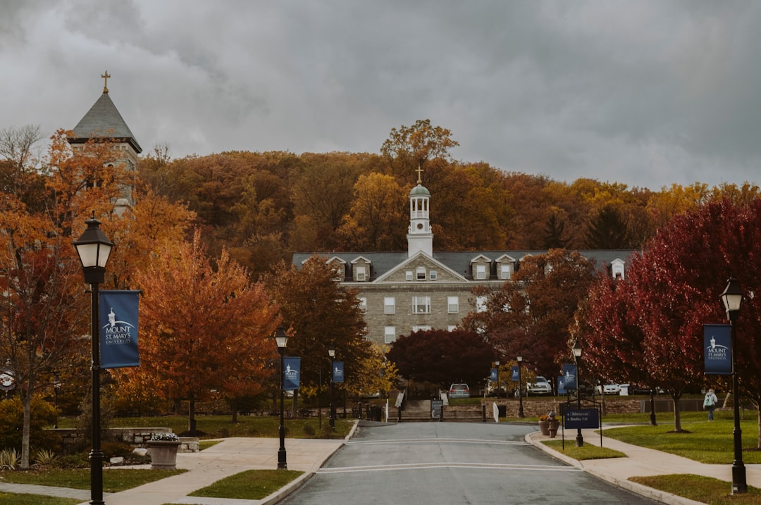 Exploring the University of New Haven's Global Standing in Marketing for 2027