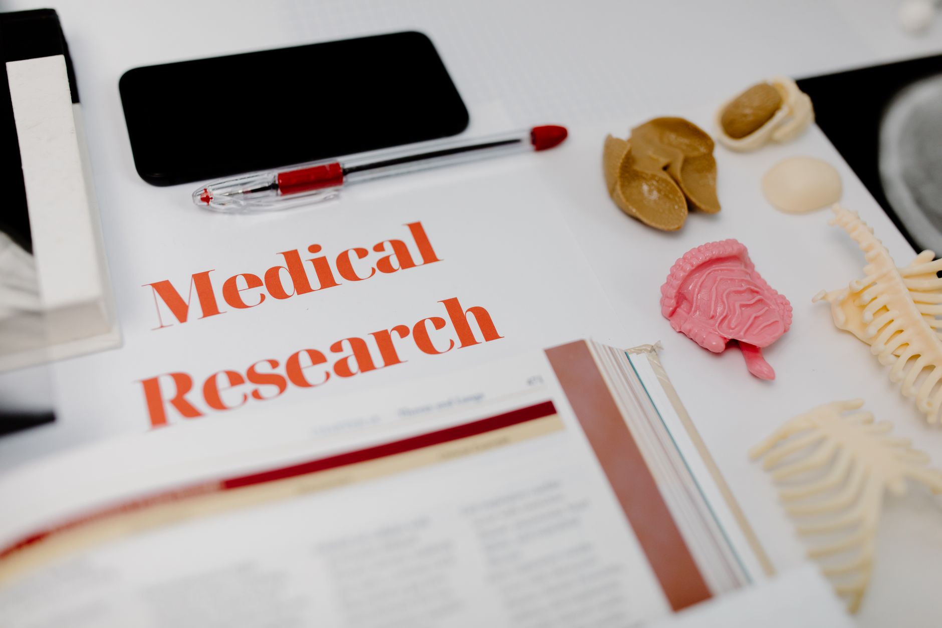 Exploring the WHO Summer School 2027: Advancing Public Health Innovation in France